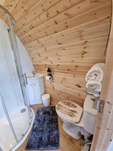 Forester's Retreat Glamping - Dinas View