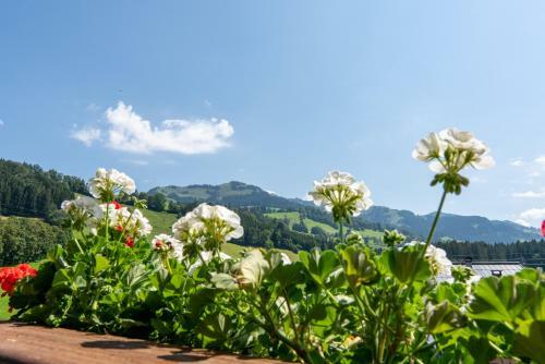 Hotel Kitz Garni Boutique Hotel