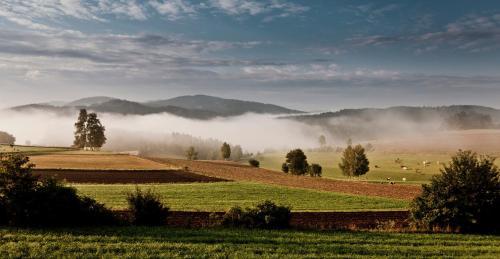 Bed & Breakfast Ferienhof Stanzl