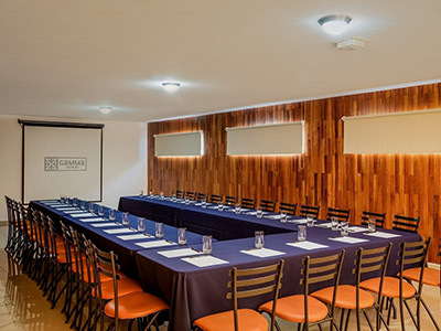 Hotel Gamma By Fiesta Inn Leon