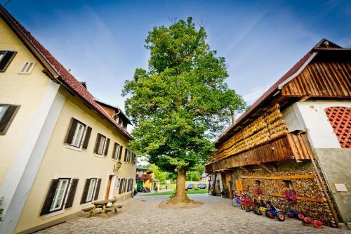 Agroturismo Bauernhof Liendl