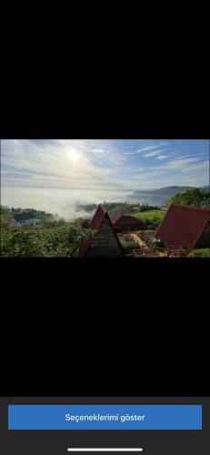 Antikhouse Bungalow&cafe
