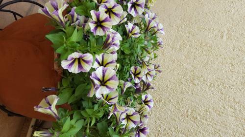 Apartamento Guesthouse Niriides