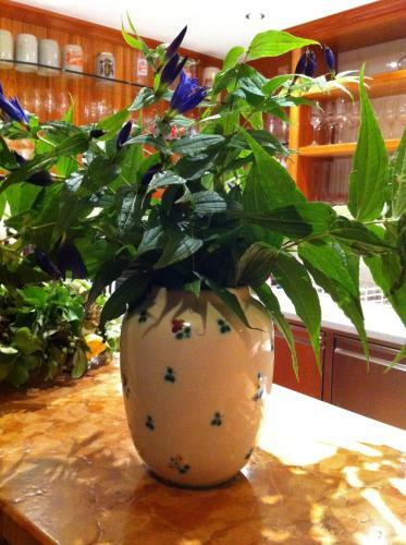 Hostal Hupfm�hle Pension