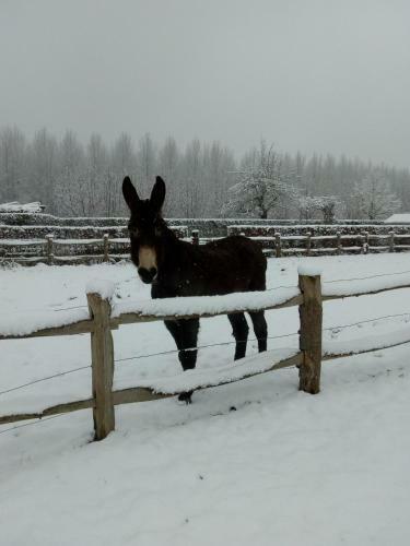 B&B Hier En Nu
