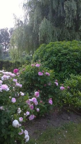 B&B Hier En Nu