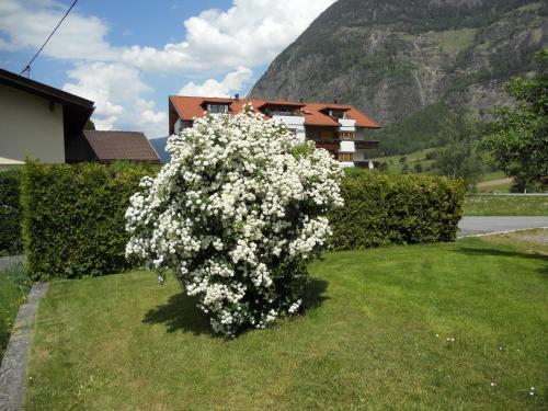 Apartamento Haus Renate Frischmann