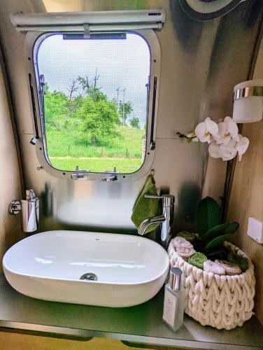 Bed & Breakfast Worralls Grove Airstream