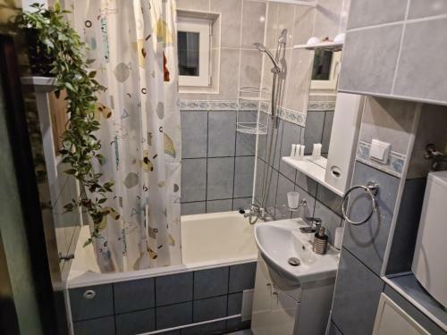 Apartament Georgiana