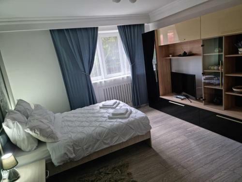 Apartament Georgiana