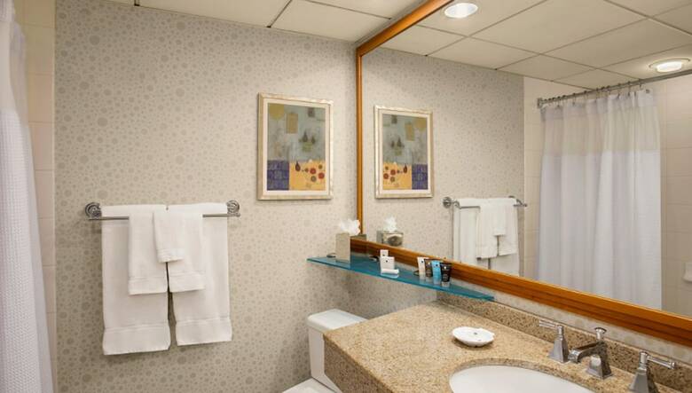 Hotel Crowne Plaza International Airport