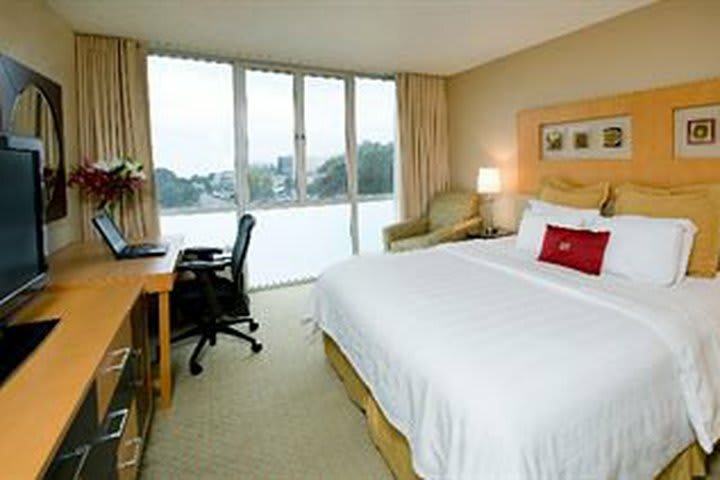 Hotel Crowne Plaza International Airport