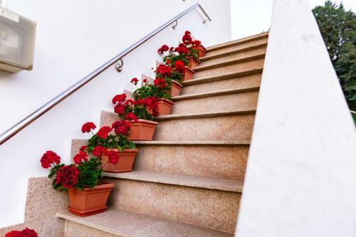 Hostal Pensiunea Ionela