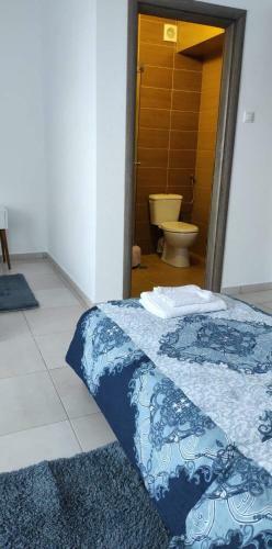 Hostal Pensiunea Transilvania