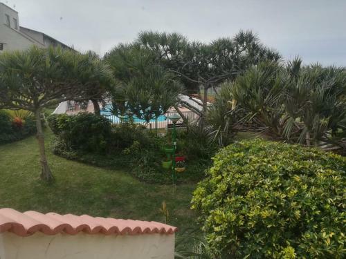 Apartamento La Corsica 1
