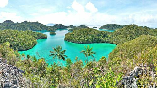 Package Tour Raja Ampat