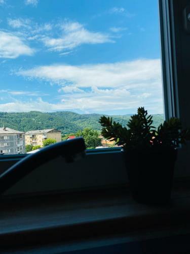 Apartamento Cozy Little Place