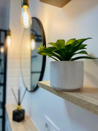 Apartamento Cozy Little Place