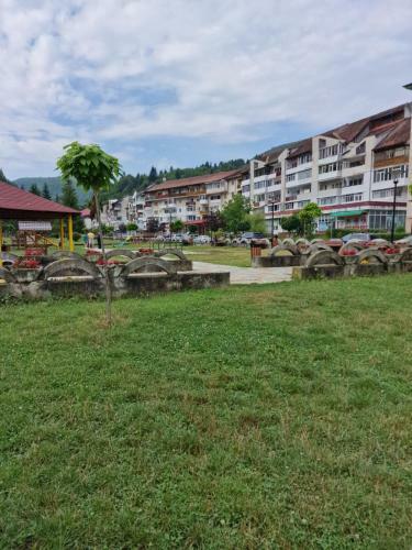 Apartment Slanic Moldova