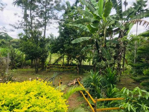 Livin Hub Homestay