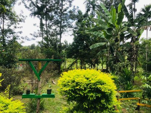 Livin Hub Homestay