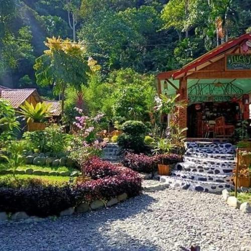 Agroturismo Lucky Bamboo