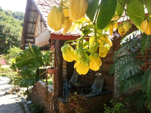 Agroturismo Lucky Bamboo