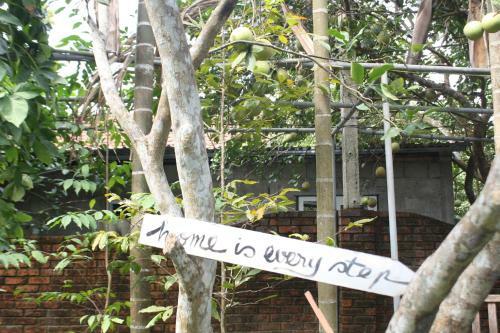 Hostal Tam Tinh Vien Homestay