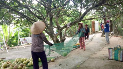 Hostal Tam Tinh Vien Homestay