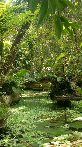 Hostal Tam Tinh Vien Homestay