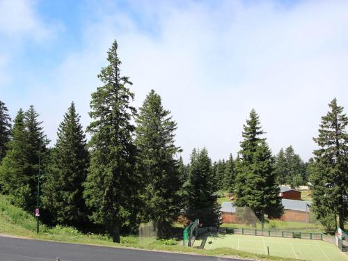 Apartamento Studio Chamrousse, 1 Pi�ce, 4 Personnes - Fr-1-549-96
