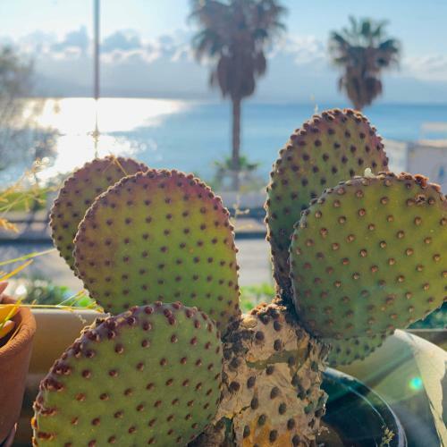 La Mia Terrazza Sul Mare A Messina