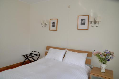 Hostal Guesthouse Les Tilleuls