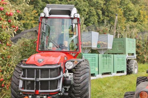 Agroturismo Obst & G�stehof Brandl