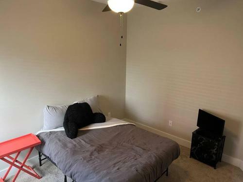 Apartamento Affordable Stay-pet Friendly
