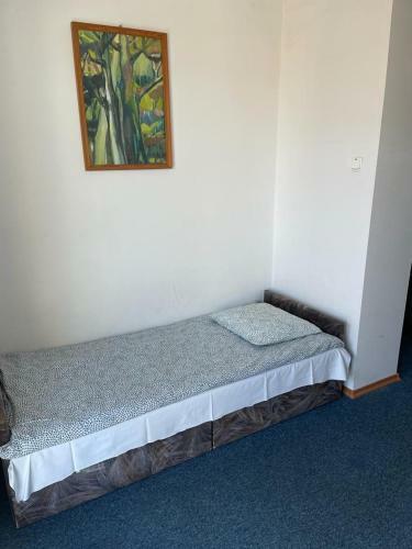 Hostal Ska?ka