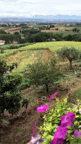Apartamento Appartamento Di Campagna