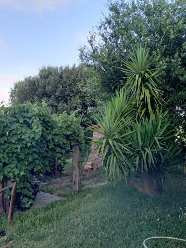 Agroturismo Il Rifugio Longobardia Minorae