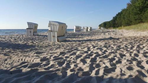 Apartamento Ferienwohnung Eldena