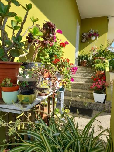 Apartamento Coraz�n Do Val Da Louri�a-�rea Vigo