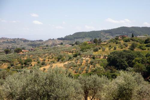 Apartamento Agriturismo Il Dolce Vivere
