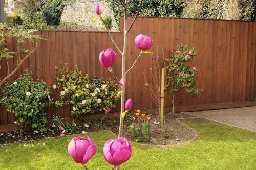 High Quality Detached House With Parking St. Ives