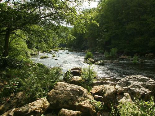 Holiday Home Grundelwald Aywaille