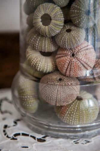 La Ripa - Appartamento Il Fienile