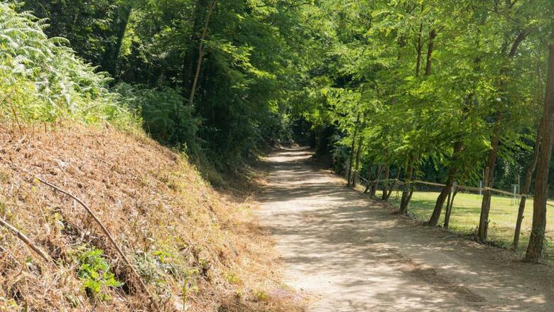 Can Baseia - Amb Jard� I Acc�s Privat A La Fageda