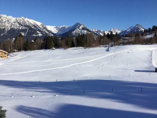 Baldauf's Alpchalet