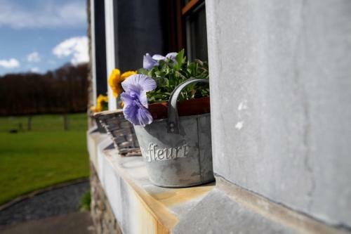 Une Parenth�se En Ardenne