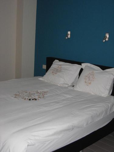 Bed & Breakfast Landhuis Vedastus