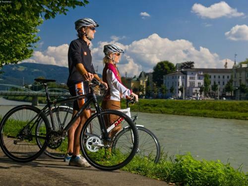 Holiday Home Stadlmann Thalgau