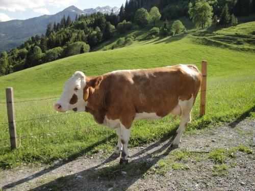 Agroturismo Brandebengut